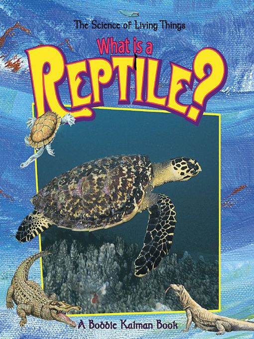 Title details for What is a reptile? by Bobbie Kalman - Available